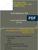 Dr. Evi Kuniawaty, M.SC: Citric Acid Cycle (Tricarboylic Acid Cycle TCC) (Krebs Cycle)