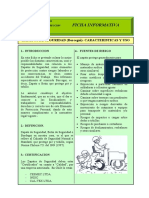 Articles-66070 Ficha Zapatos de Seguridad PDF