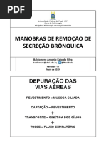 Manobras de remoção de secreção brônquias