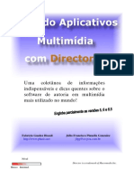 Director_7.pdf