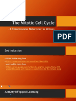 Chromosome Behaviour in Mitosis