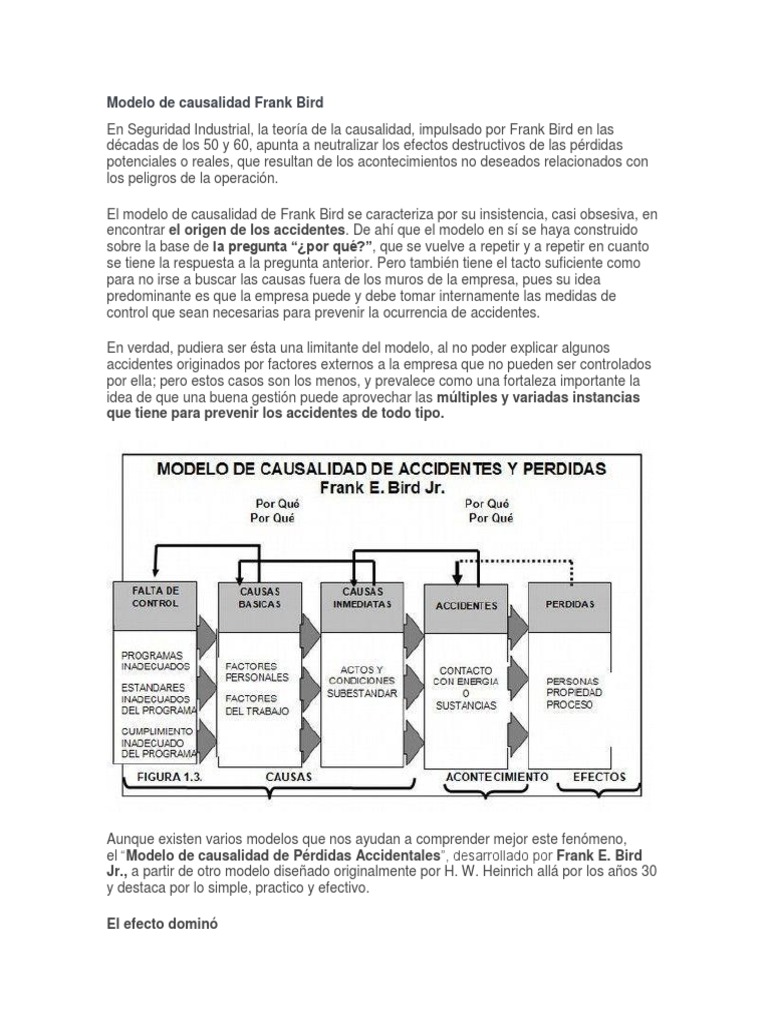 Modelo de Causalidad Frank Bird | PDF | Causalidad | Teoría