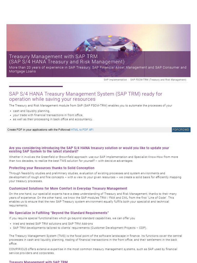 SAP S/4 HANA Treasury Management Overview | PDF | Sap Se | Application ...
