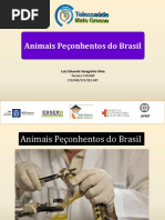Acidentes Por Animais Peconhentos e Venenosos