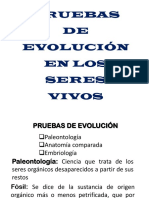 Pruebas de Evolución y La Célula 2019