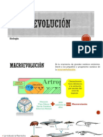 MacroEvolución5.pdf