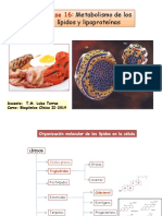 Clase 16 Metabolismo de Los Lipidos y Lipoproteinas