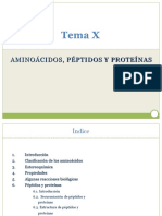 TEMA X Amino Acidos