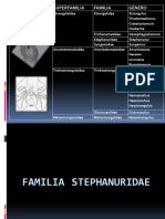 Familia Stephanuridae