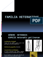 Familia Heterakidae