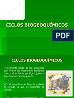 Ciclos Biogeoquímicos