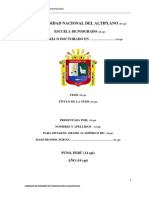 esquema de tesis de posgrado.pdf
