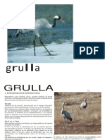 Cartilla Grulla 2014