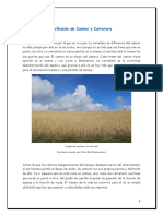 Definicion_de_Camino_y_Carretera.pdf