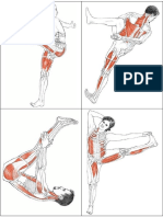 Functional Anatomy of Yoga Horz