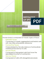 Histology of Epithelium