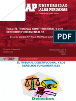 Plantilla Uap 2019-1b - Sesion 4. El Tribunal Constitucional y Los DD FF