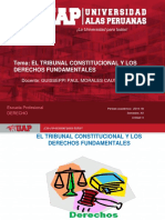 Plantilla Uap 2019-1b - Sesion 4. El Tribunal Constitucional y Los Dd Ff