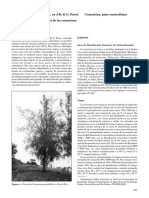 Casuarinaequisetifolia.pdf (1).pdf