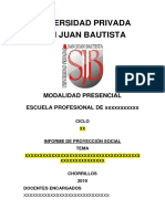 Proyeccion Social - Caratula y Esquema-1