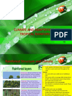 Climate and Adaptation in Tropical Rainforest