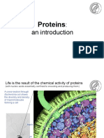 BIBCP WS1819 02 Lecture Intro To Proteins