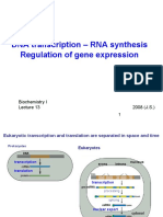 DNA transcription - Regulation of gene expression through RNA polymerase