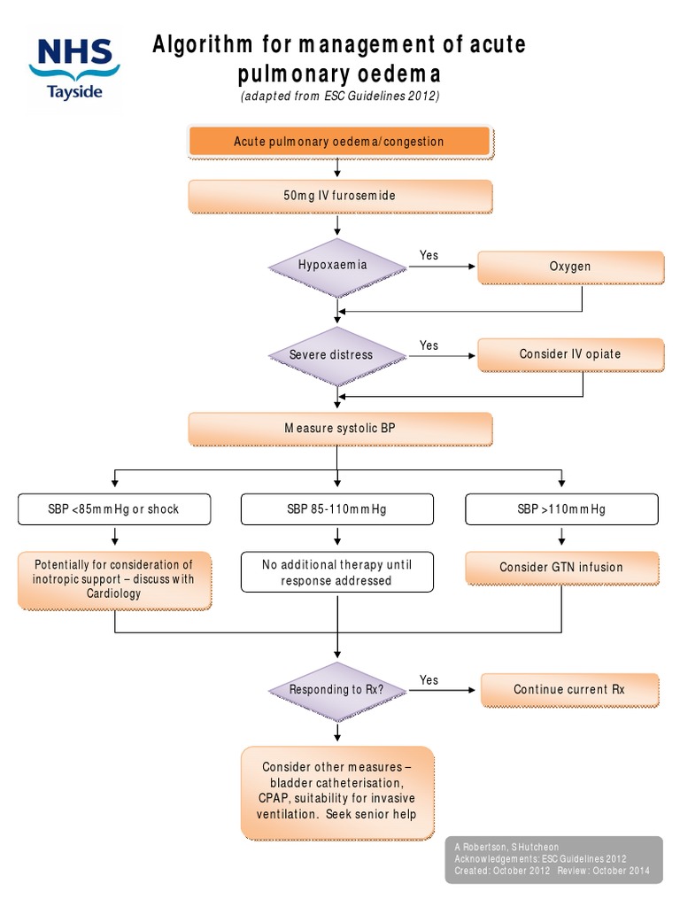 Acute Pulmonary Oedema Management Algorithm | PDF