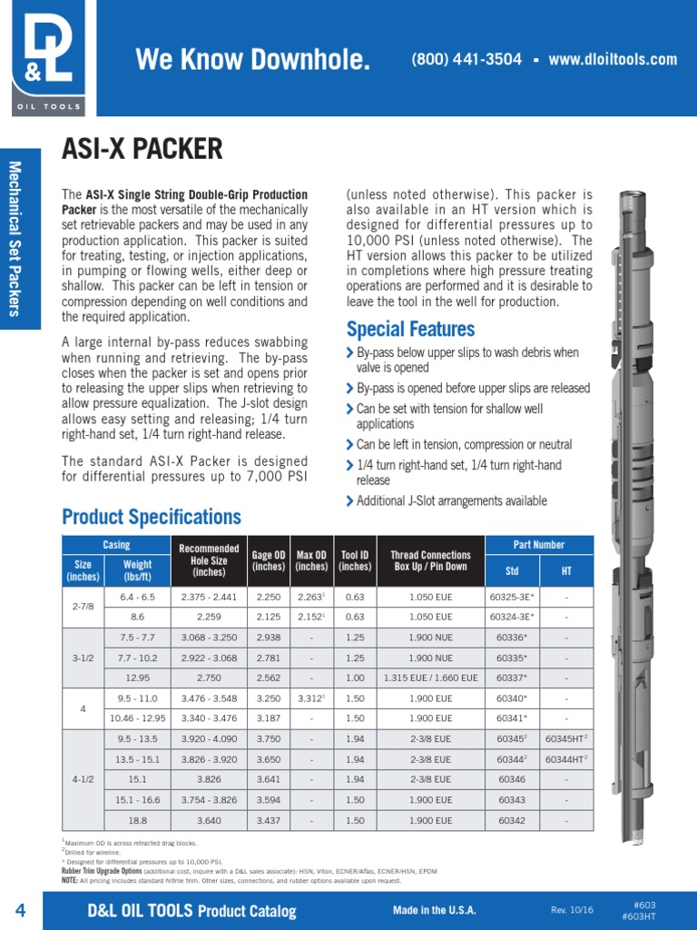 Asi X Packer 105243965 PDF Gases Mechanical Engineering