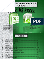 Ms Excel Module