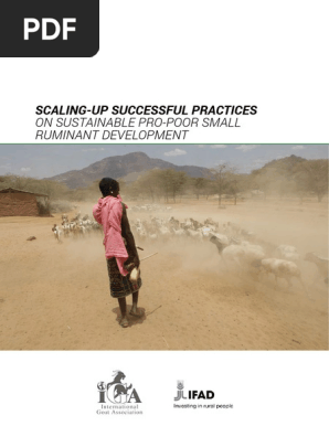 Scaling-Up Successful Practices (Full)  PDF  Millennium 