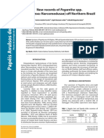 New records of Pegantha spp.pdf