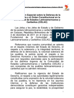 4. DECLARACIÓN ESPECIAL DEFENSA DEMOCRACIA (1).pdf