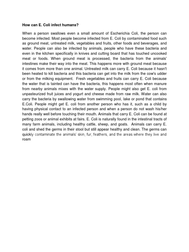How Can E.coli Infect Humans PDF Escherichia Coli Milk