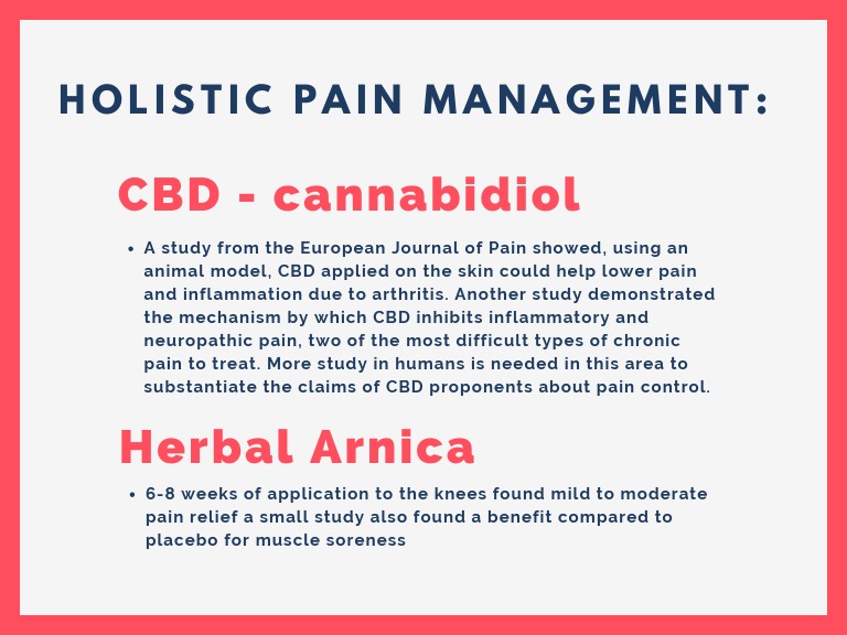 Holistic Pain Management PDF