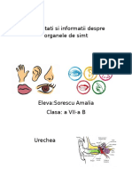 Curiozitati Si Informatii Despre Organele de Simt