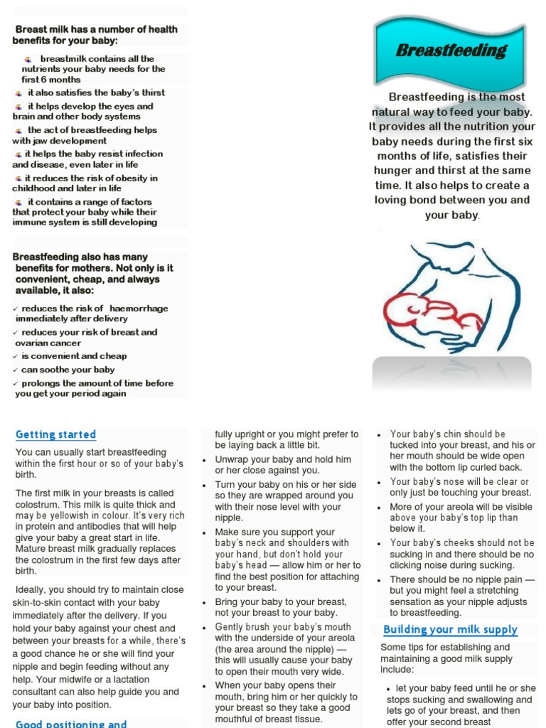 HTP Breastfeeding PDF Breastfeeding Breast Milk