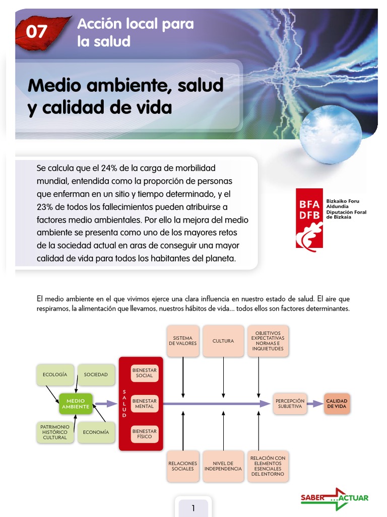Salud y medio ambiente: calidad de vida | PDF | Contaminación | Agua