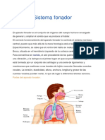 Sistema Fonador