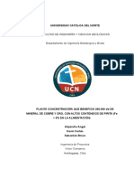 Informe Final - Proyecto Branro v3