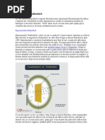 Download Experimentul Rutherford by Ela Gheorghe SN41329461 doc pdf