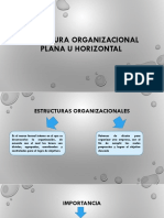Estructura Organizacional Plana U Horizontal