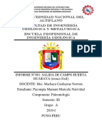 Universidad Nacional Del Altiplano (1)