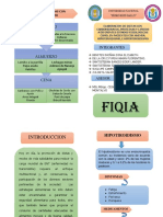 Folleto Anemia Nutricion PDF