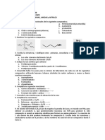 Actividad Aminas, Amidas y Nitrilos PDF