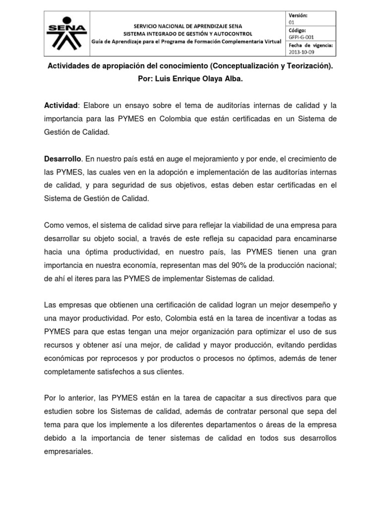 Evidencia Ensayo Sobre El Tema de Auditorías Internas de