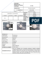 Contoh Deskripsi Mikropaleontologi