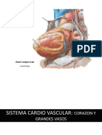 Angiologia PDF