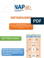 Metabolismo1 PDF