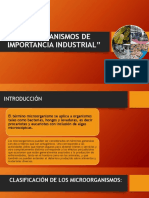 microorganismos de importancia industrial 